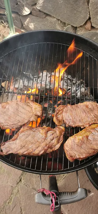 Cortes de carne sobre la parrilla con flama